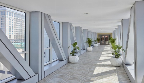 Rose Rayhaan By Rotana - Dubai image 3